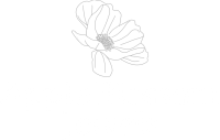 White on Transparent